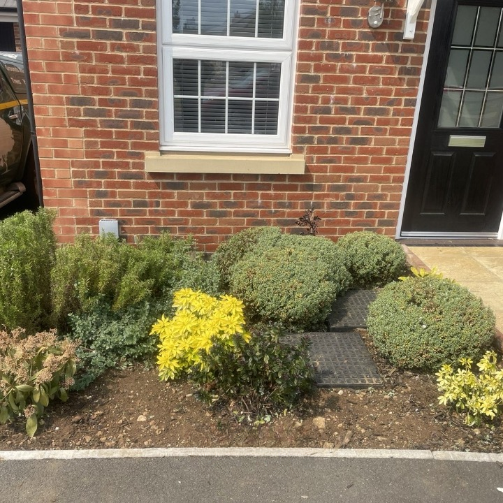 After: refreshed shrub borders