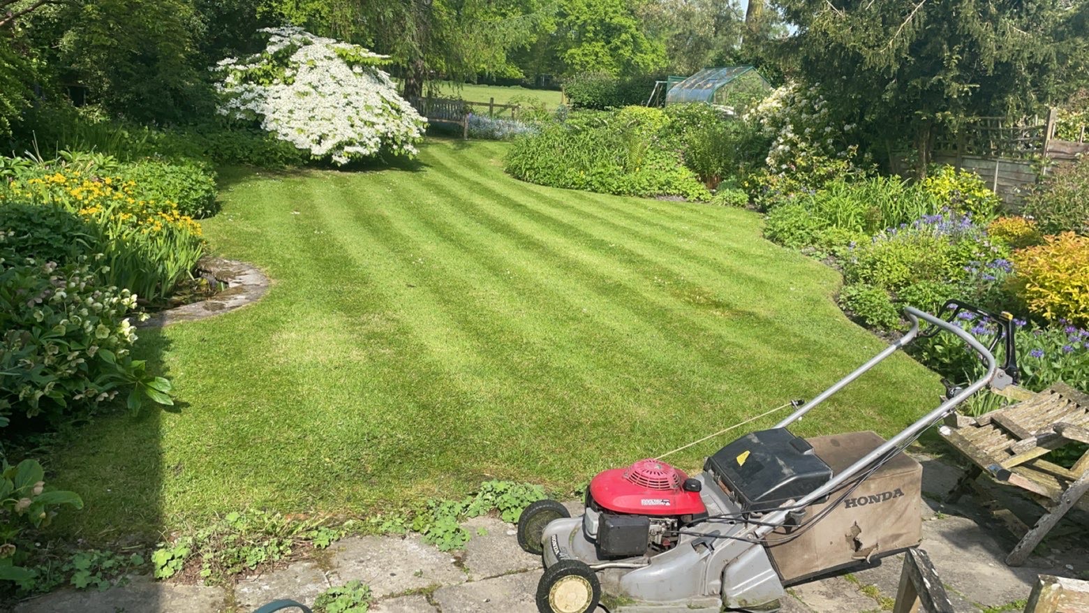 Professional grass care in progress