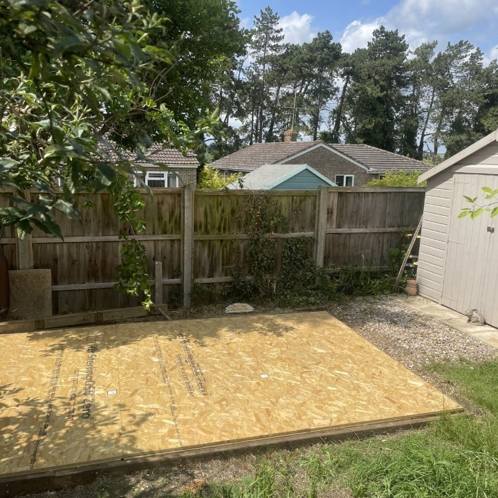 After: tree canopy cleaned and balanced